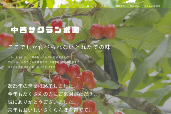 さくらんぼ狩り | Copy 中西サクランボ園